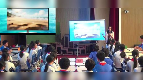 《你我他各异——冒险岛探秘》2026中小学生涯教育展示课视频