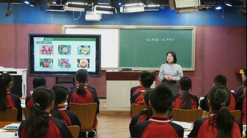 《一桃知平谷 一脉润家乡》中国版八下地理2026AI赋能地理课堂一以乡土地理为载体的跨学科主题学习展示课视频