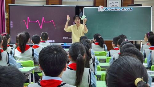 《A seaside shock》小学绘本阅读展示课视频