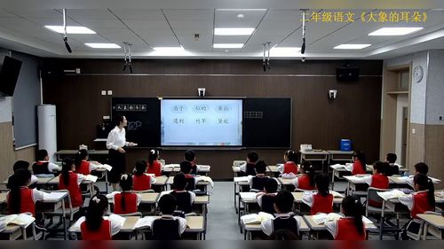 《大象的耳朵》部编版二下语文2026展示课视频