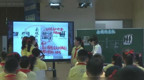 《企鹅的危机》教科版五年级科学2026年第十二届小学科学优质课竞赛二等奖视频