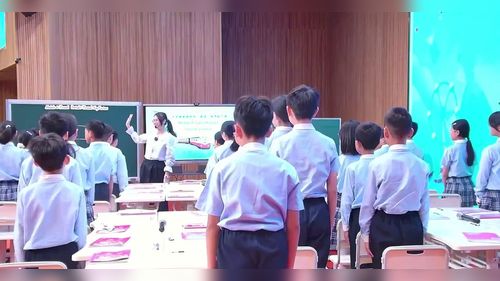 《Module 4 Travel Period 1 Travel Key Factors》教科版五下英语2026新旧教材融合路径探索——单元整体教学与实施策略研讨课视频