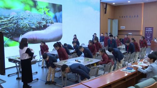 《Giant pandas are bears》核心素养导向的小学英语绘本阅读教学观摩研讨课视频