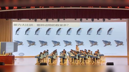 《求比一个数多（少）几的数是多少》青岛版一下数学2026第二届跨区域小学数学教学观摩研讨课视频