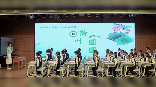 《荷叶圆圆》部编版一下语文2026“雨花杯”赛课一等奖视频