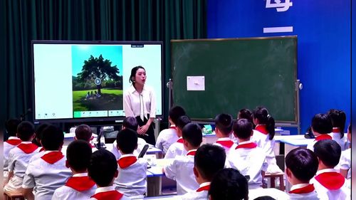 《一天中影子的变化》教科版2026第十二届小学科学优质课竞赛一等奖视频