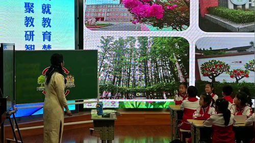 《Unit 4 Plants around us Part C》人教版三年级英语2026第二届小学英语项目式学习教学研讨课视频