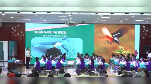 《挑战平衡》小学五年级科学2025七彩云南名师研讨课视频