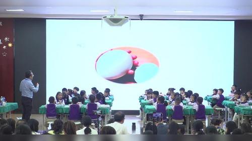 《形形色色的动物》苏教版一下科学2025七彩云南名师研讨课视频