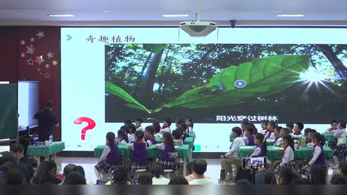 《叶的神奇》小学科学2025七彩云南名师观摩研讨课视频