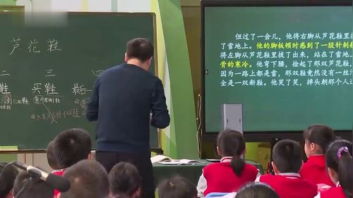 《芦花鞋》部编版四下语文新课标新课堂名师2025观摩课视频