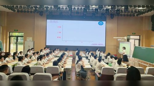 《数的运算总复习》西师大版六下数学2026年小学六年级优化复习研讨课视频