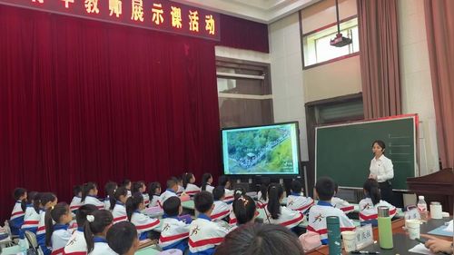 《数据的收集与整理》人教版三下数学2026展示课视频