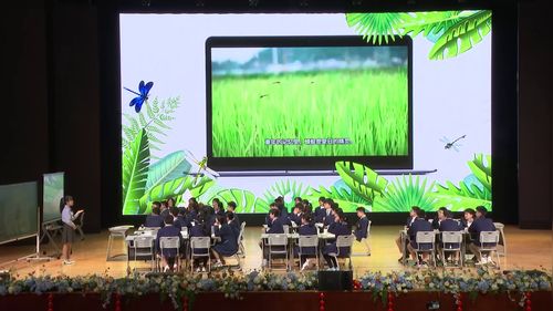 《寻蜻记--从蜻蜓视角 解码地理生态密码》人教版八年级地理2025展示课视频
