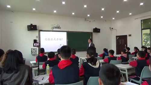 《分数的基本性质》人教版五下数学2026优课视频