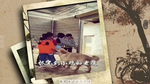 《肥皂泡》部编版三下语文2026第26届课堂教学观摩研讨课视频