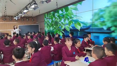 《光影里的科学奥秘》小学科学展示课视频