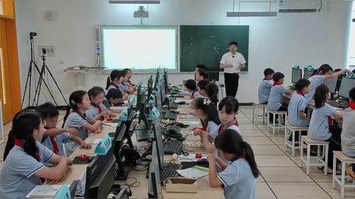 《数据驱动识花---走进莫奈花园》2026小学信息科技课堂教学展示课视频