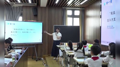 《同饮一江水》人美版二上美术展示课视频