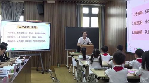 《你编我织真能干》2026小学美术展示课视频