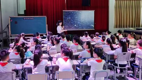 《我们奇妙的世界》部编版三下语文2026展示课视频