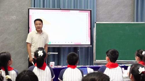 《三角形和梯形的面积》人教版五上数学2026聚焦单元整体教学促进学生素养发展优课视频