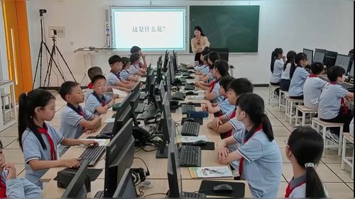 《智能识花探长-之数据驱动识花》2026小学信息科技课堂教学评审活动优课视频