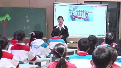 《白杨礼赞》部编版八上语文2025中学语文青年教师依标教学展示活动优课视频