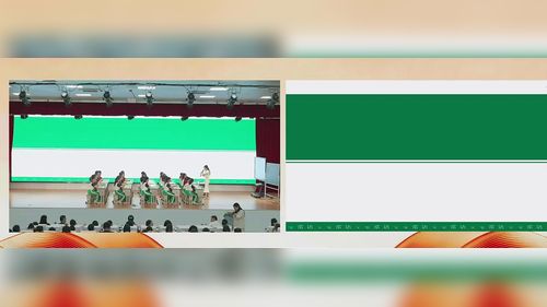 《诺曼底号遇难记-第一课时》部编版四下语文2026基于单元的单篇学习活动设计实施观摩研讨课视频的