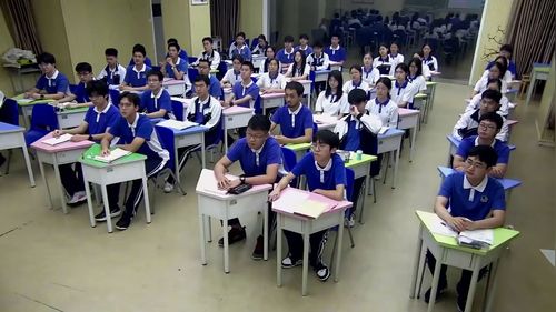 《向量——从解题工具到数学语言》人教版高三数学复习课课堂实录视频