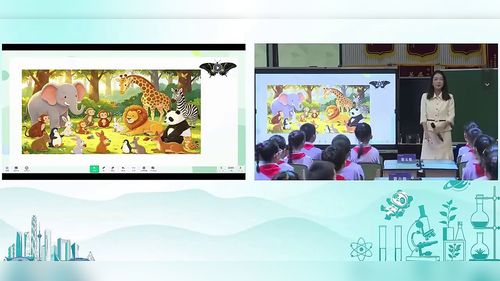 《给动物分类》苏教版小学科学2026优课视频