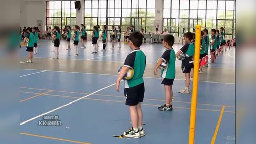 《排球正面双手垫球及组合与运用》小学四年级体育与健康2024优质课评比一等奖视频