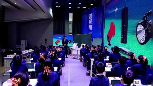 《设计一个信号灯》教科版四年级科学2026第12届科学优课视频