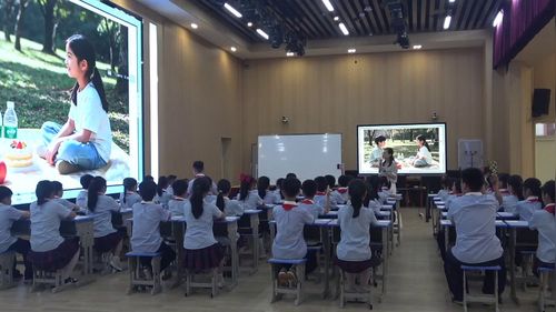 《认识几分之一》北师大版三下数学课堂实录视频