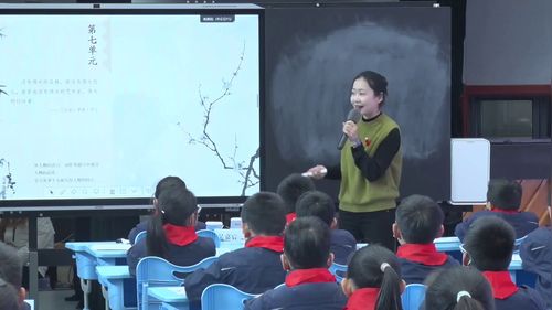 《墨梅》部编版四下语文2025教育学会小学语文专业委员会学术研讨会优课视频