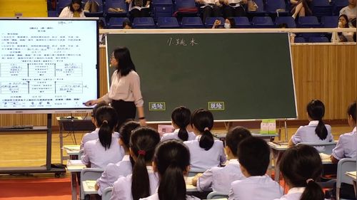 《跳水》部编版五下语文2026第七届名师课堂实录视频