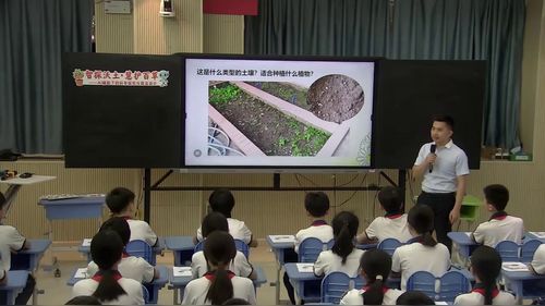 《智探沃土 慧护百草——AI辅助下的科学探究与算法设计》小学中年段2026人工智能与科学 信息科技 跨学科融合课堂实录视频