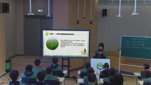《小得盈满 风吹麦浪》苏科版八年级数学2026跨学科课堂实录视频