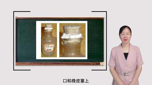 《传统实验与数字化实验融合探究氢氧化钠变质》人教版九年级化学2025数字素养提升跨学科实践主题融合课堂实录视频