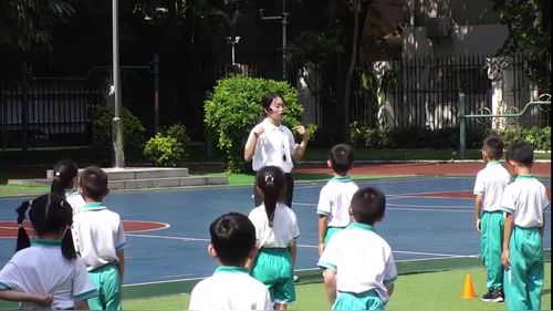 《障碍跑》小学一年级体育与健康课堂实录视频