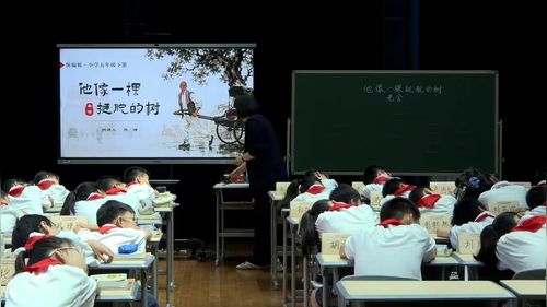 《他像一棵挺脱的树》部编版五下语文2026第六届中国语文教育高端论坛暨中小学阅读教育研讨会优课视频