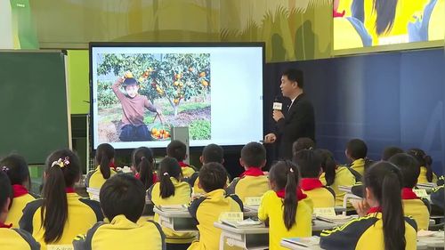 《平均数》人教版四年级数学2026AI赋能数学跨单元结构化教学名师课堂实录视频