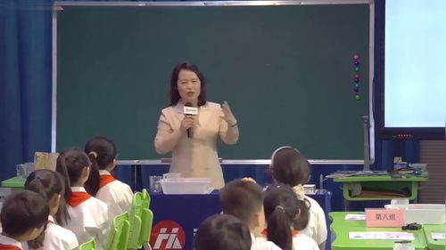 《我们的大脑》教科版四年级科学2025第二十三届小学科学名师优课视频