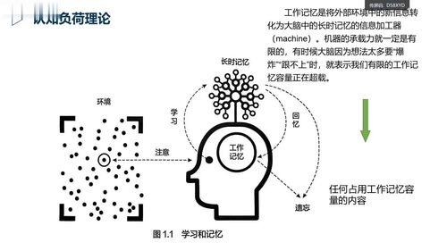 《优化认知负荷,让学生成为更有效的学习者》小学科学名师讲座视频