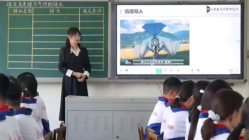 《鸟类》人教版七上生物2025展示课视频