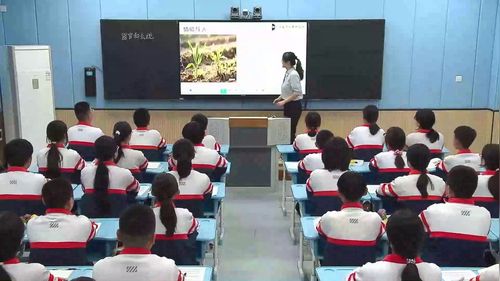 《器官和系统》冀少版七上生物2025展示课视频