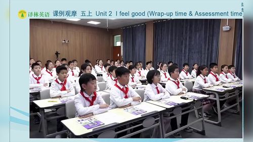 《Unit 2 I Feel good Wrap up time & Assessment time》译林版五上英语2026新教材培训课堂实录优课视频
