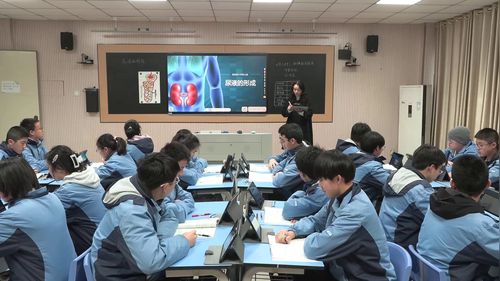 《尿液的形成教学视频》苏教版八上生物2026人工智能赋能课堂教学典型案例教学视频