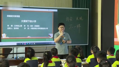 《大青树下的小学》部编版三下语文2025AI背景下的单元整体教学设计名师课堂实录视频-执教-张学伟 21503