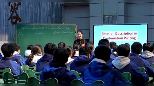 《Emotion Description in Continuation Writing》人教版高二英语2025第十九届全国高中英语教师教学基本功大赛